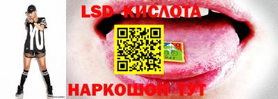 мдпв Донской
