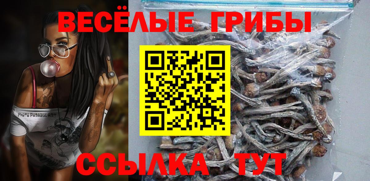 Малоярославец  Галлюциногенные грибы прущие грибы  Вход с VPN 